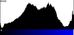 Blue Histogram