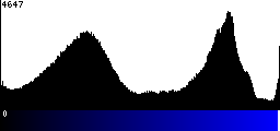 Blue Histogram
