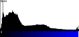 Blue Histogram