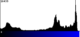 Blue Histogram