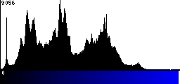 Blue Histogram