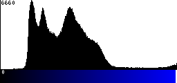 Blue Histogram