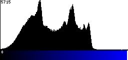 Blue Histogram