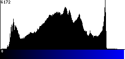 Blue Histogram