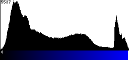 Blue Histogram