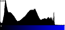 Blue Histogram