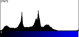 Blue Histogram