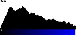 Blue Histogram