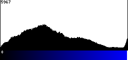 Blue Histogram