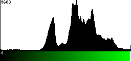 Green Histogram