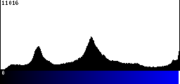 Blue Histogram