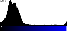 Blue Histogram