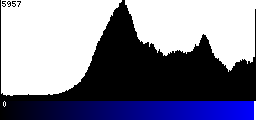 Blue Histogram