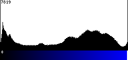Blue Histogram