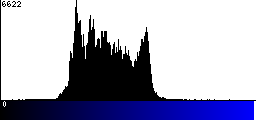 Blue Histogram