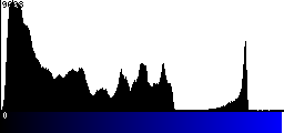 Blue Histogram