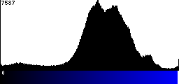 Blue Histogram