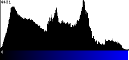 Blue Histogram