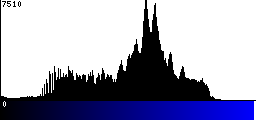 Blue Histogram