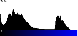 Blue Histogram