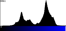 Blue Histogram