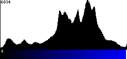 Blue Histogram
