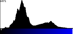 Blue Histogram