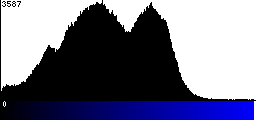 Blue Histogram