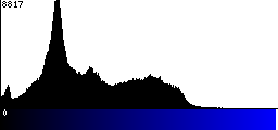 Blue Histogram