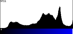 Blue Histogram