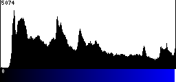 Blue Histogram