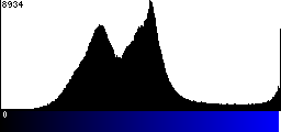 Blue Histogram