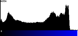 Blue Histogram
