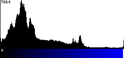 Blue Histogram