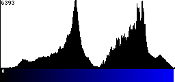 Blue Histogram