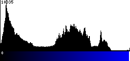 Blue Histogram