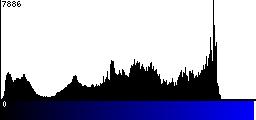 Blue Histogram