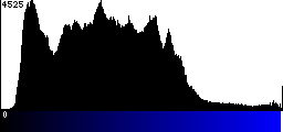 Blue Histogram
