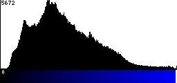 Blue Histogram