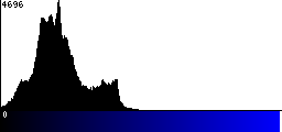 Blue Histogram