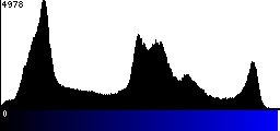 Blue Histogram