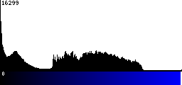 Blue Histogram