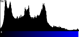 Blue Histogram