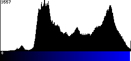 Blue Histogram