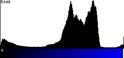 Blue Histogram