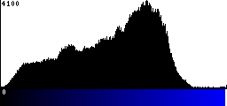 Blue Histogram