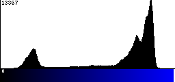 Blue Histogram