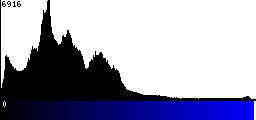 Blue Histogram