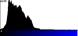 Blue Histogram