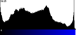 Blue Histogram